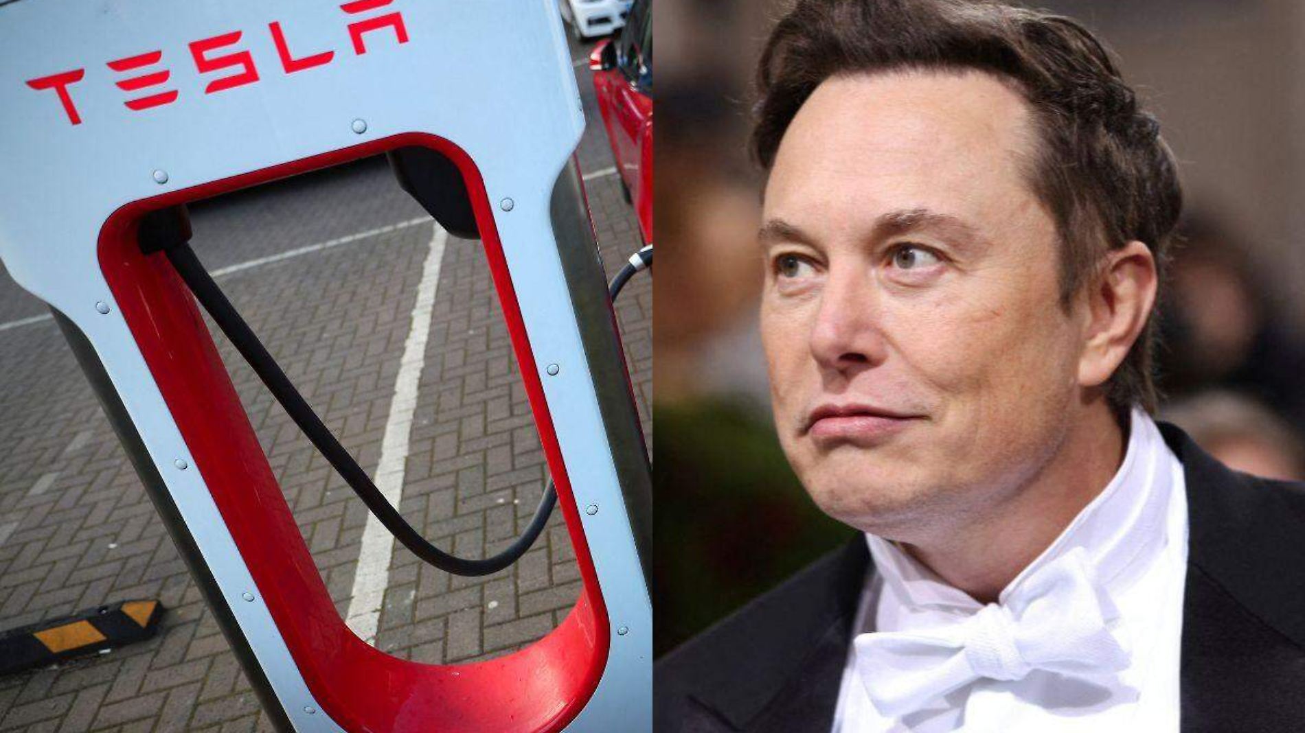 Elon Musk es el hombre más rico del mundo; de dónde proviene su fortuna (1)